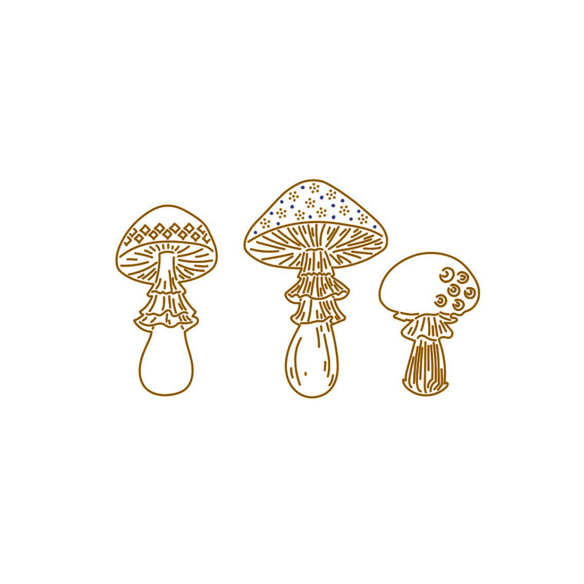 Les « champignons de conte de fées » : des champignons avec une petite jupe