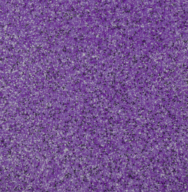 Grape-Fizz-1