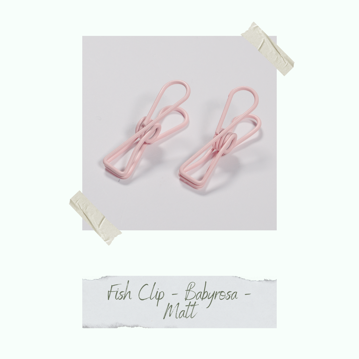 CD-ZB-049_Fish-Clip-Babyrosa