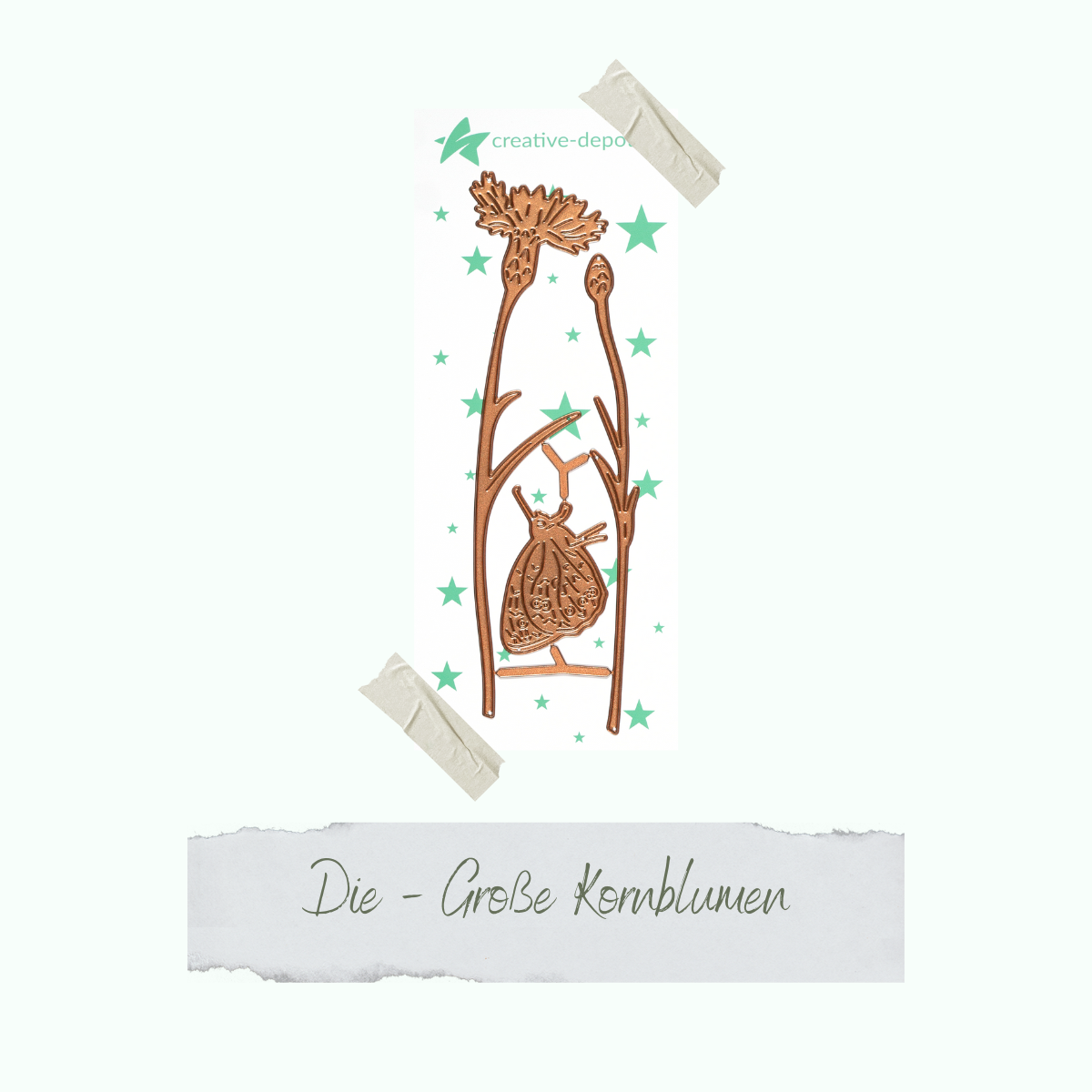 CD-Die-1291_Die-Grosse-Kornblumen