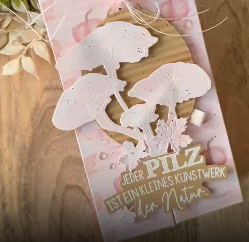Bundle - Pilzgrüße