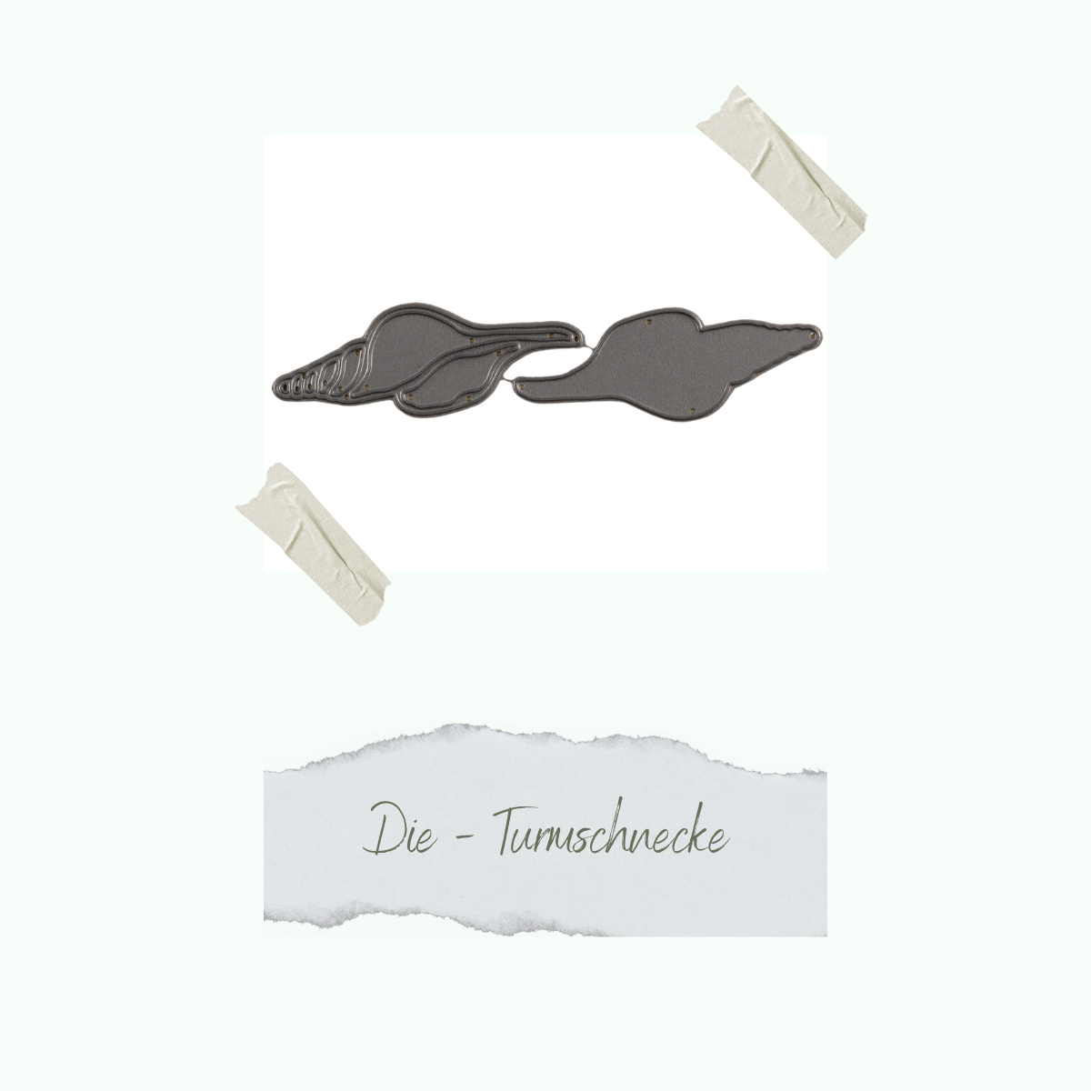 CD-Di-654_Die-Turmschnecke