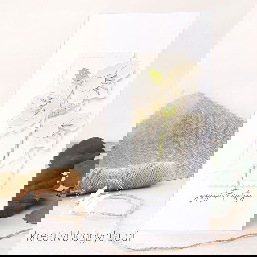 WhatsAppImage20210910at11 WhatsApp Image 2021-09-10 at 11.39.12