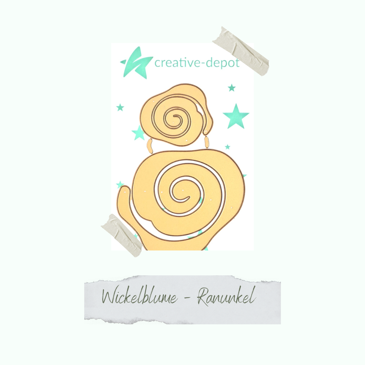 CD-Di-894-Wickelblume-Ranunkel La - Wickelblume - Ranunkel